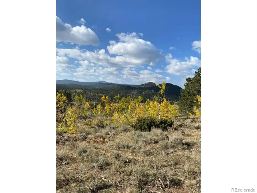 215 Murdock Drive, Red Feather Lakes, CO 80545 - #3