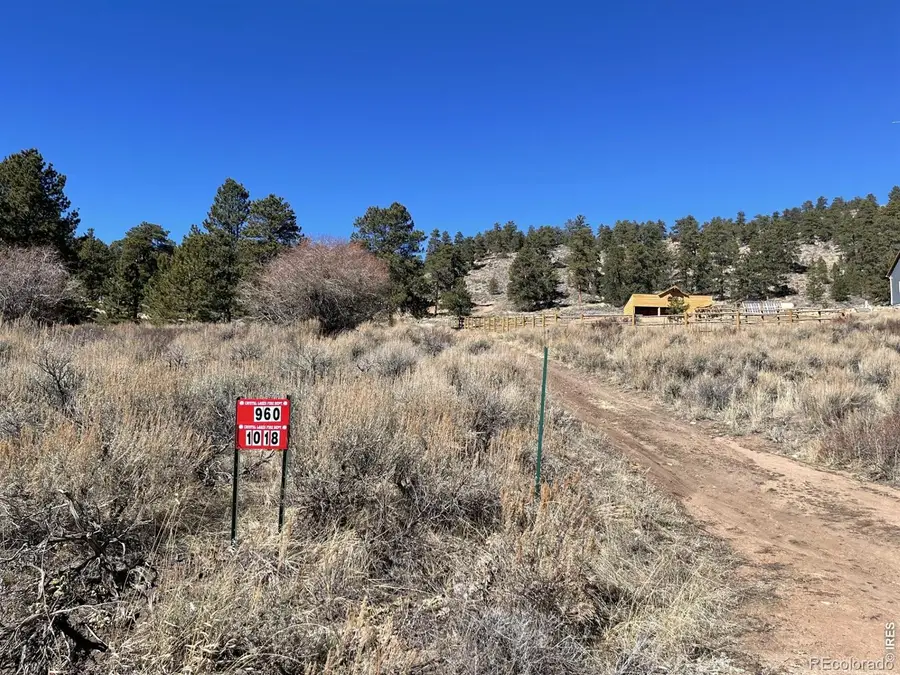 1018 Beartrap Road, Red Feather Lakes, CO 80545 - #2