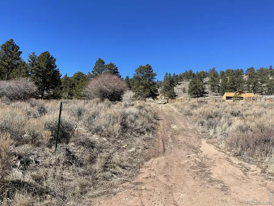 1018 Beartrap Road, Red Feather Lakes, CO 80545 - #3
