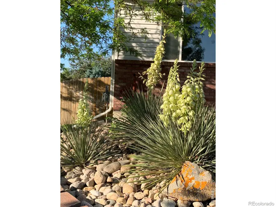 661 Brewer Drive, Fort Collins, CO 80524 - #3