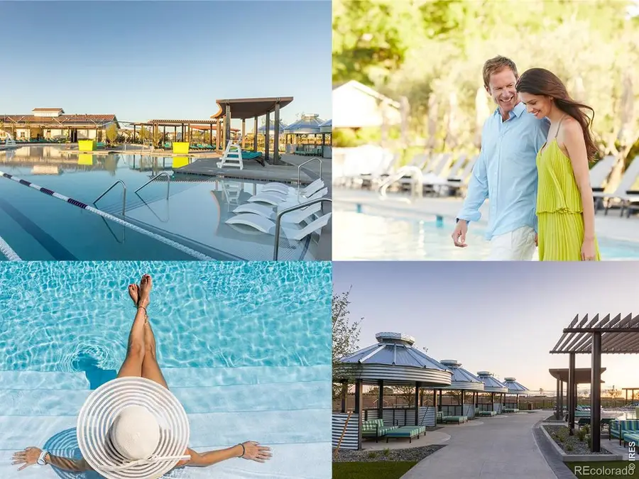 1956 Blossom Grove Drive, Windsor, CO 80550 - #2