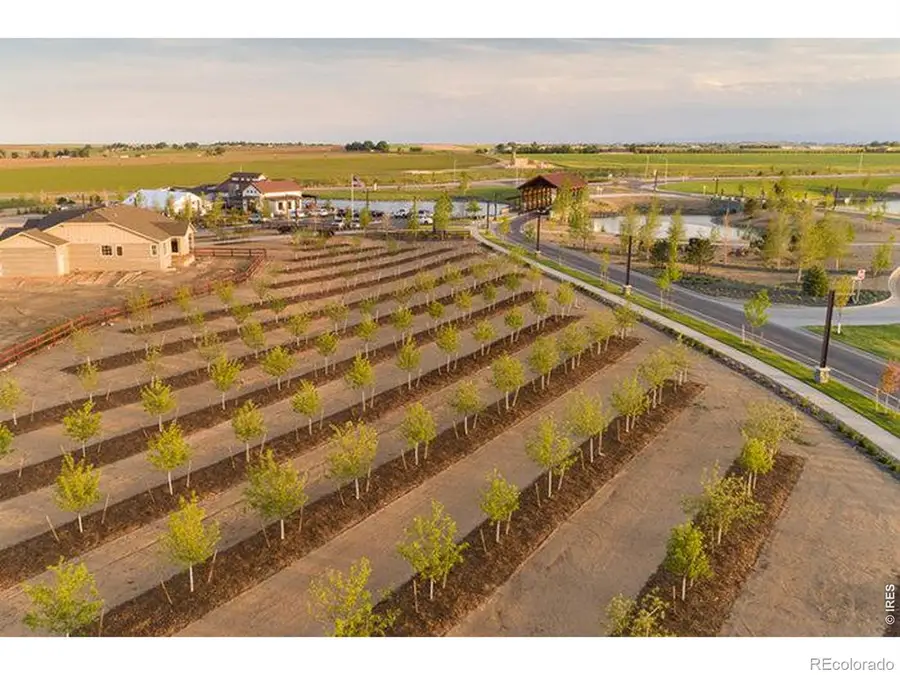 1956 Blossom Grove Drive, Windsor, CO 80550 - #3