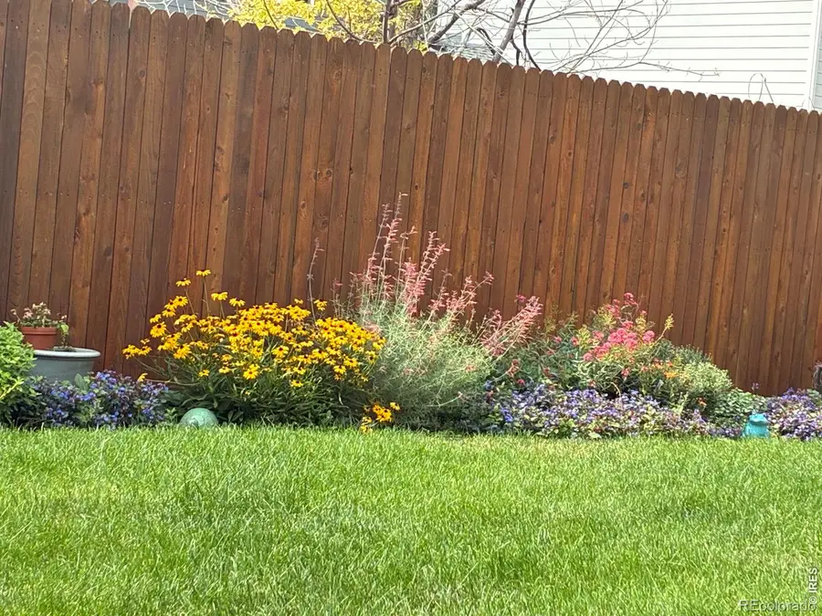 2656 Mustang Drive, Mead, CO 80542 - #3