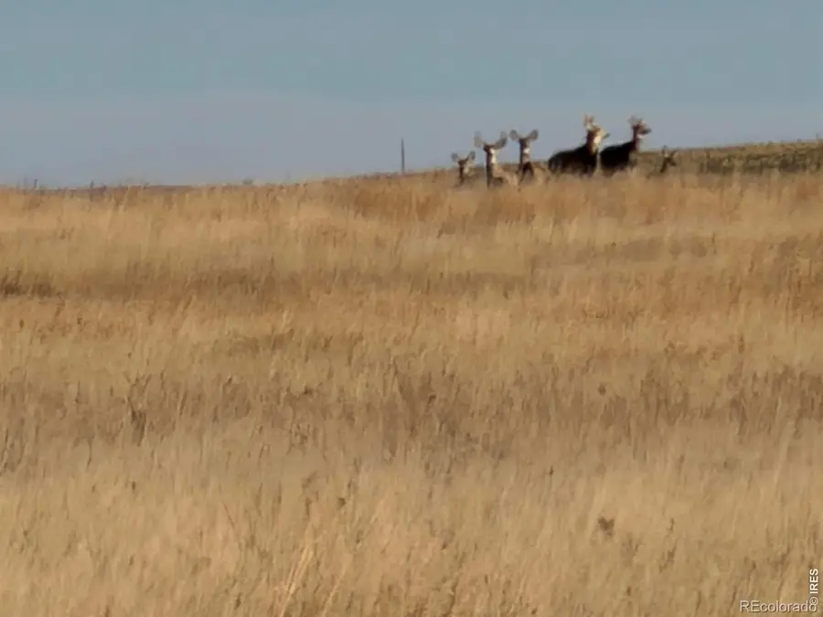 43 Dd Road, Burlington, CO 80807 - #2