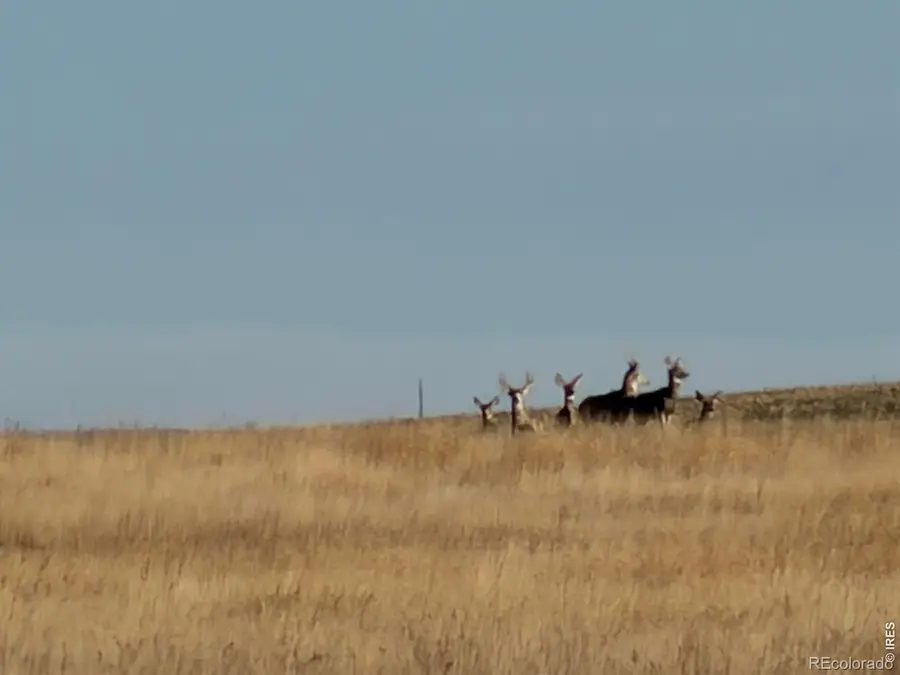 43 Dd Road, Burlington, CO 80807 - #3