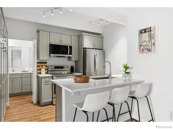 551 N Pearl Street #303, Denver, CO 80203