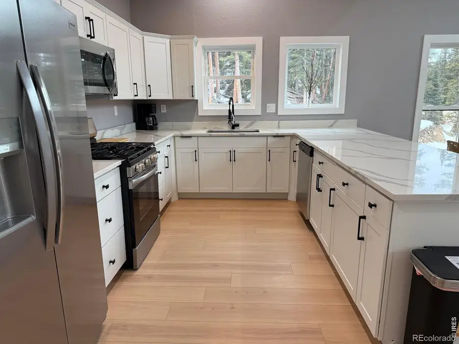 950 Gold Pan Lane, Fairplay, CO 80440 - #3