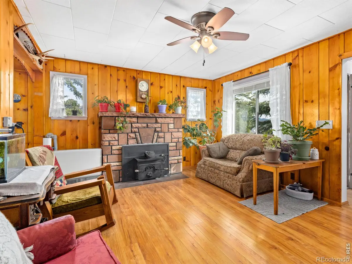 517 Birch Avenue, Estes Park, CO 80517 - #1