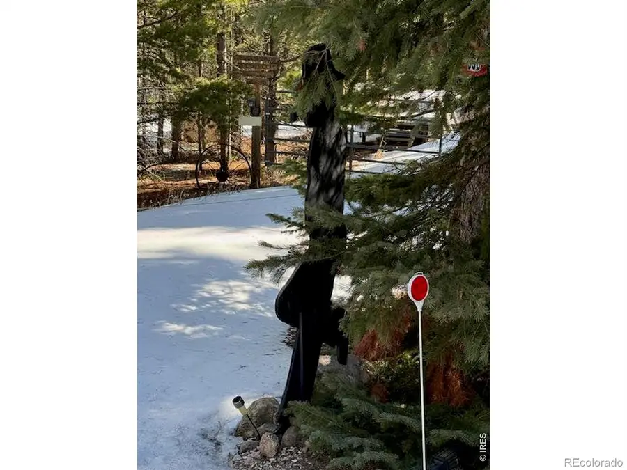 350 Mosquito Drive, Red Feather Lakes, CO 80545 - #3