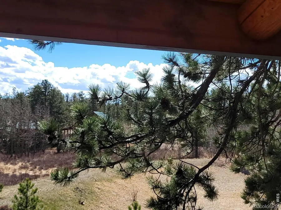 2225 N County Road 73c, Red Feather Lakes, CO 80545 - #3