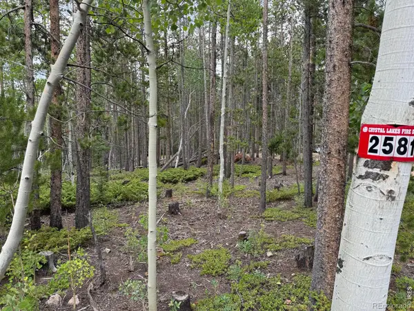 2581 Shoshoni Drive, Red Feather Lakes, CO 80545