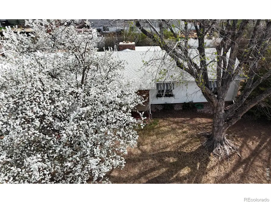 1304 Elm Avenue, Loveland, CO 80537 - #2