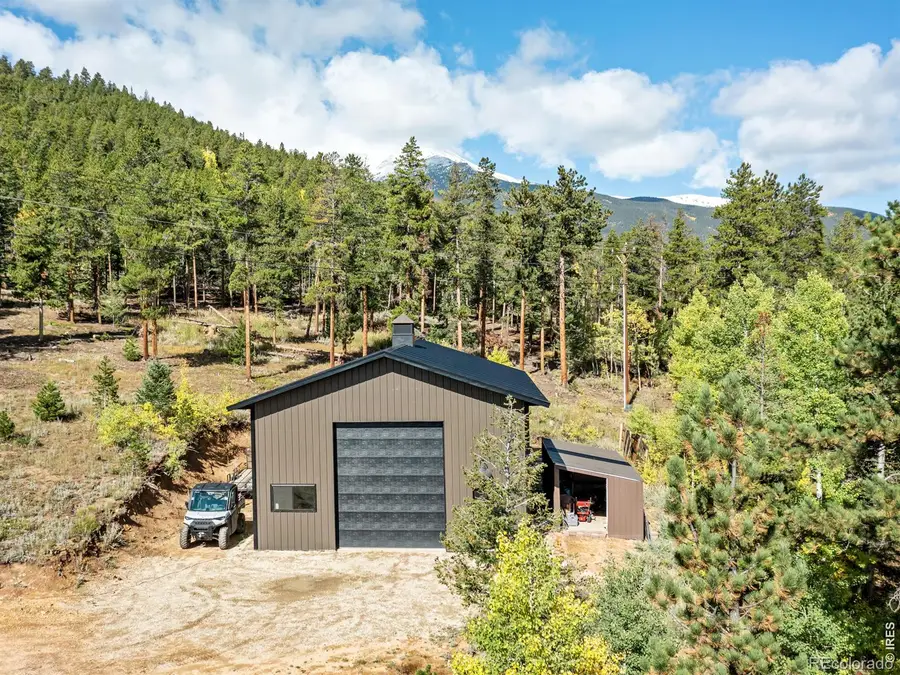 11982 Peak To Peak Drive, Allenspark, CO 80510 - #3