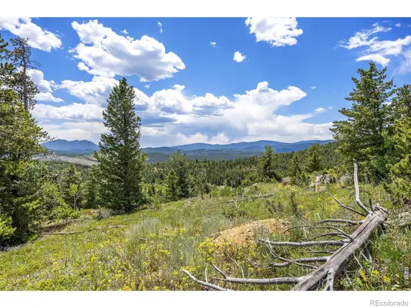 1568 County Road 103, Nederland, CO 80466