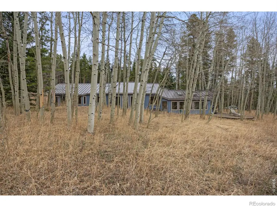 438 N County Road, Rollinsville, CO 80474 - #2