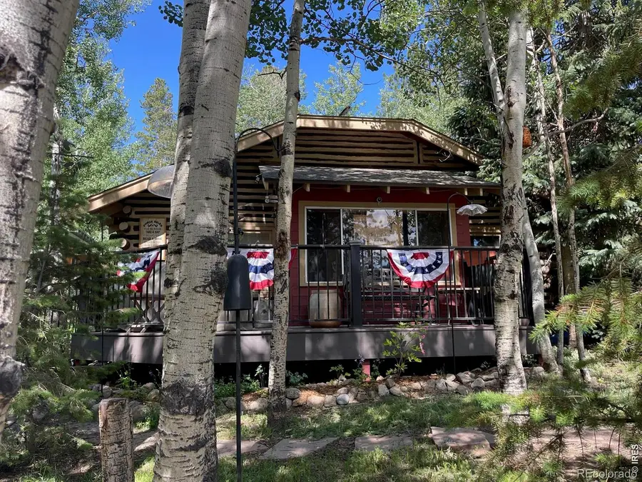 124 Ski Road, Allenspark, CO 80510 - #3