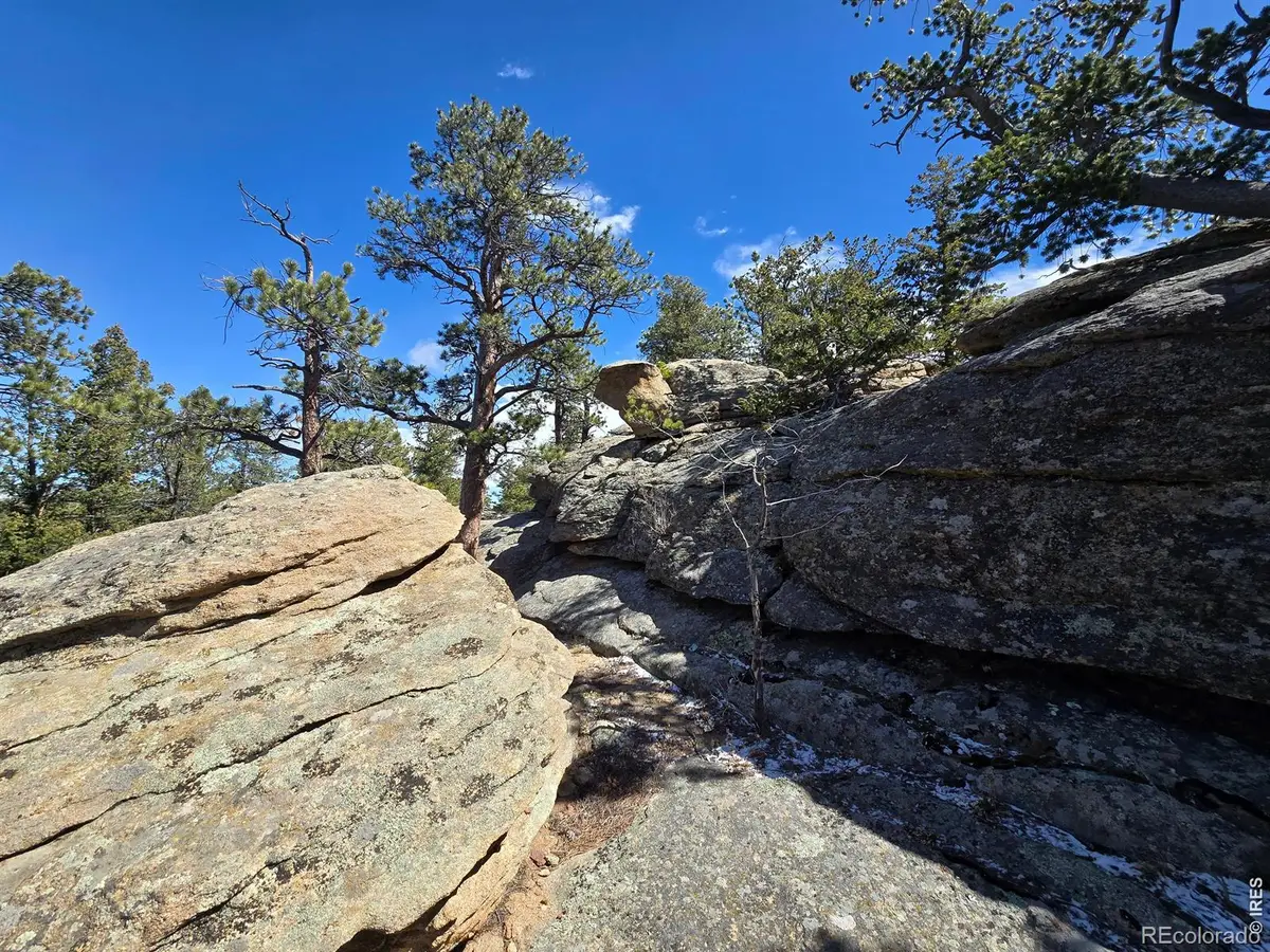 0 Sinisippi Road, Red Feather Lakes, CO 80545 - #1