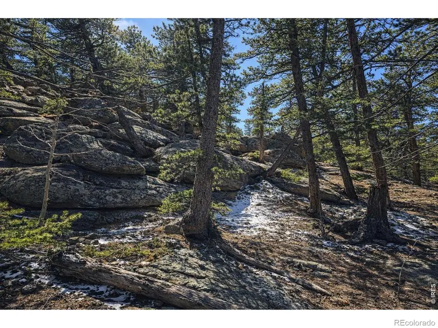 0 Sinisippi Road, Red Feather Lakes, CO 80545 - #2