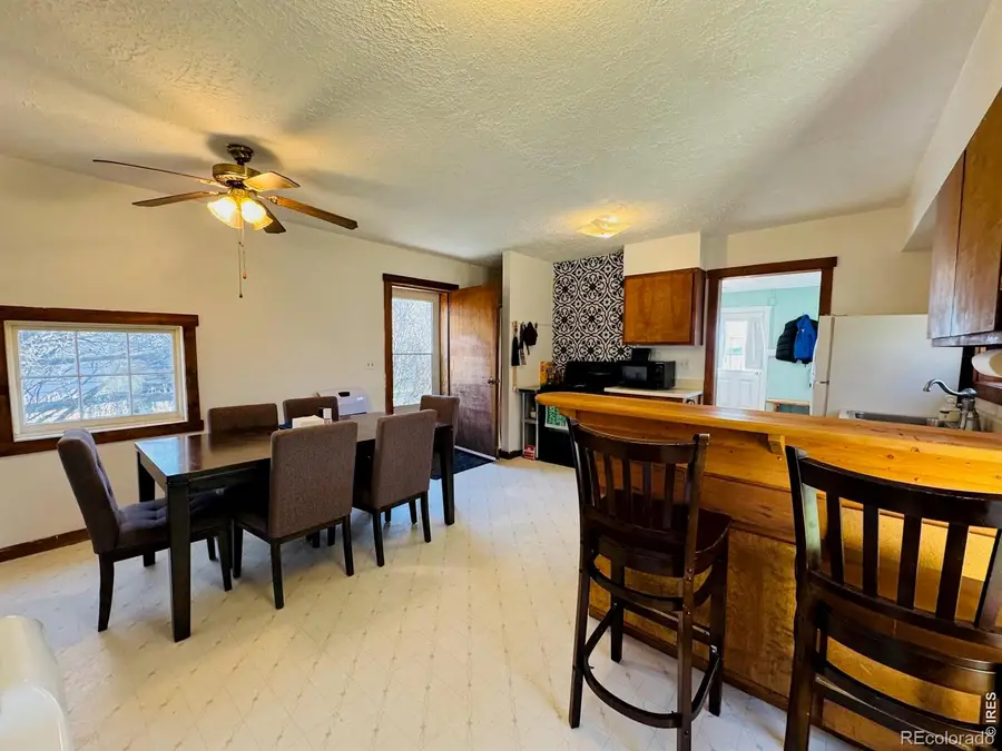 484 Washington Street, Walden, CO 80480 - #3
