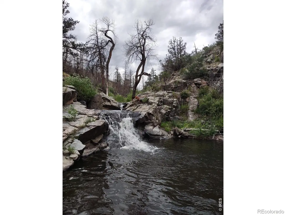 439 Redtail Ridge Way, Bellvue, CO 80512 - #1