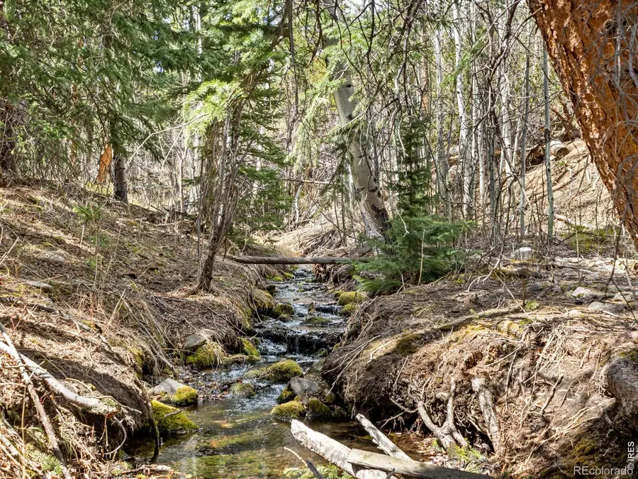 131 County Road 90, Allenspark, CO 80510 - #3