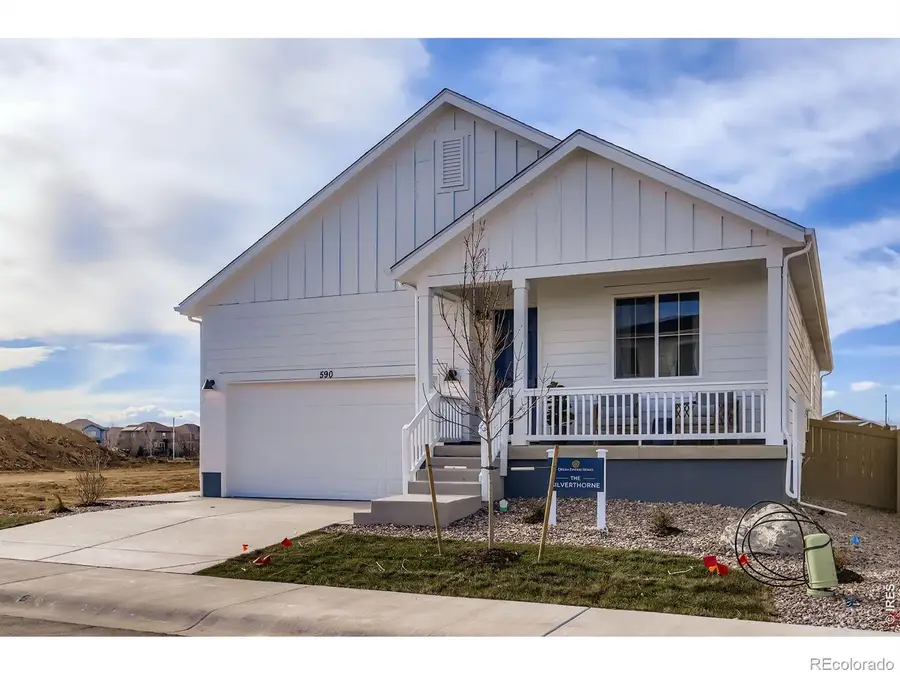 590 Noola Street, Windsor, CO 80550 - #2