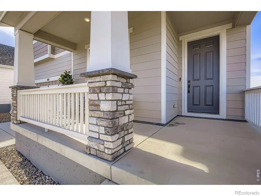 598 Noola Street, Windsor, CO 80550 - #3