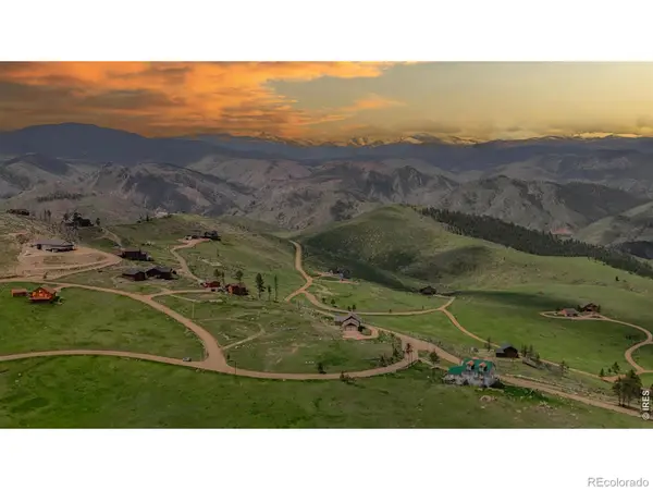 181 Meadow Mountain Drive, Livermore, CO 80536