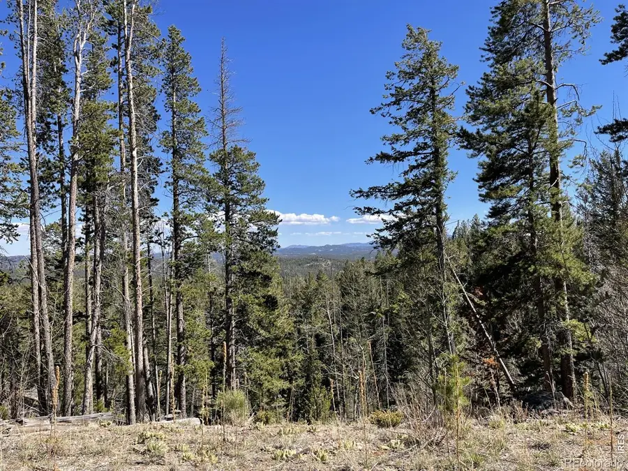 66 Piegan Court, Red Feather Lakes, CO 80545 - #2