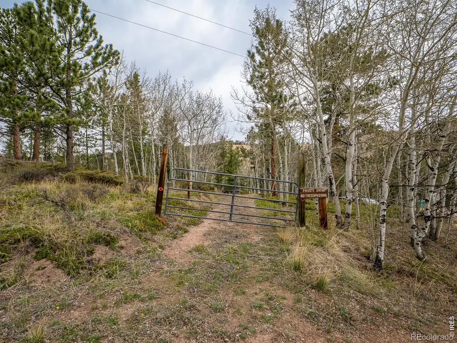 384 Ute Court, Red Feather Lakes, CO 80545 - #2