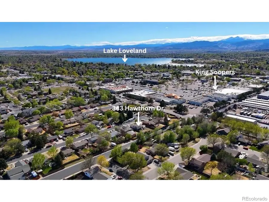 343 Hawthorn Drive, Loveland, CO 80538 - #3