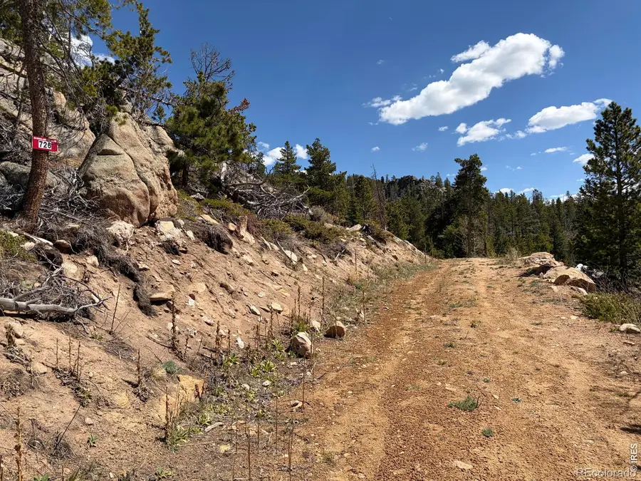 726 Micmac Drive, Red Feather Lakes, CO 80545 - #2