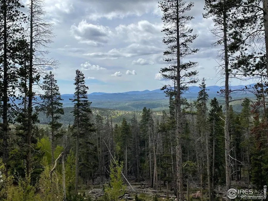 1374 Jicarilla Trail, Red Feather Lakes, CO 80545 - #3