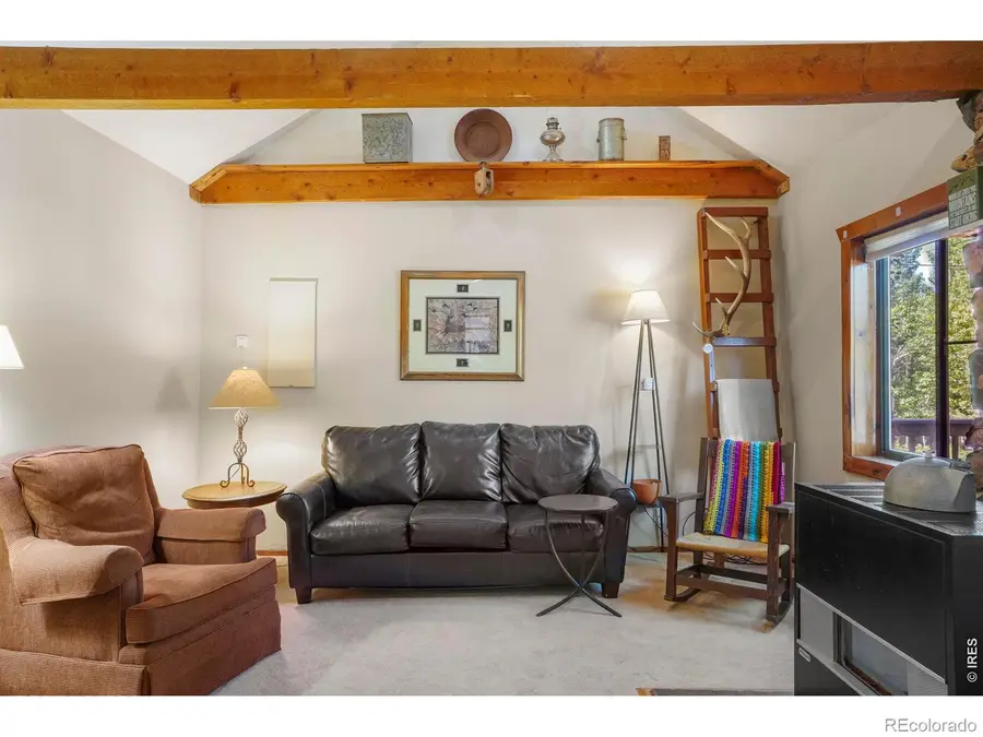 1410 Caribou Road, Nederland, CO 80466 - #3