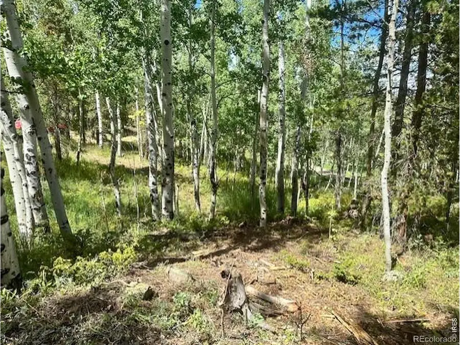 293 Aspen Circle, Black Hawk, CO 80422 - #2