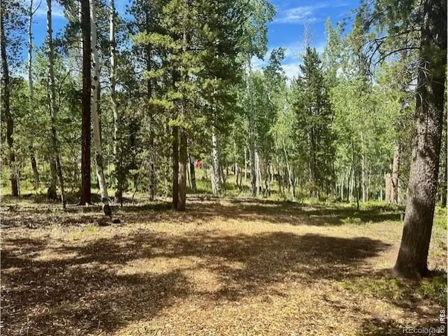 293 Aspen Circle, Black Hawk, CO 80422 - #3