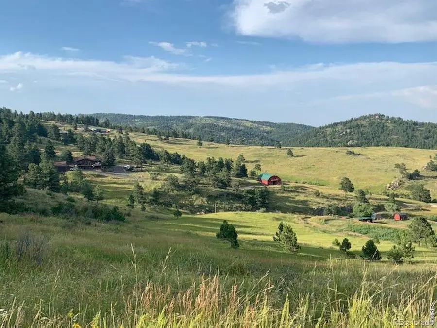 27033 Thea Gulch Road, Golden, CO 80403 - #2