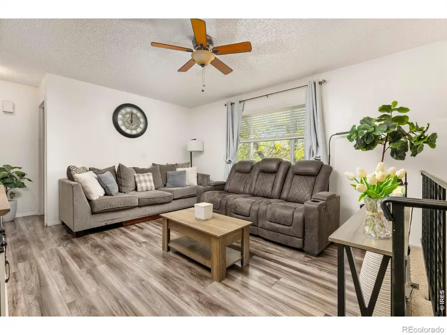 905 Woodbine Drive, Windsor, CO 80550 - #2