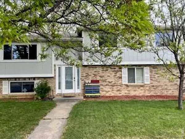 981 Nantucket Street, Windsor, CO 80550
