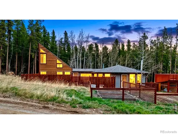 307 Dudes Drive, Rollinsville, CO 80474