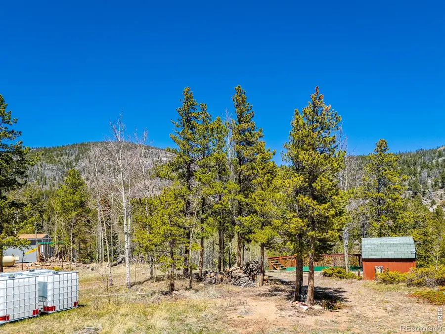 20 Inca Court, Red Feather Lakes, CO 80545 - #2
