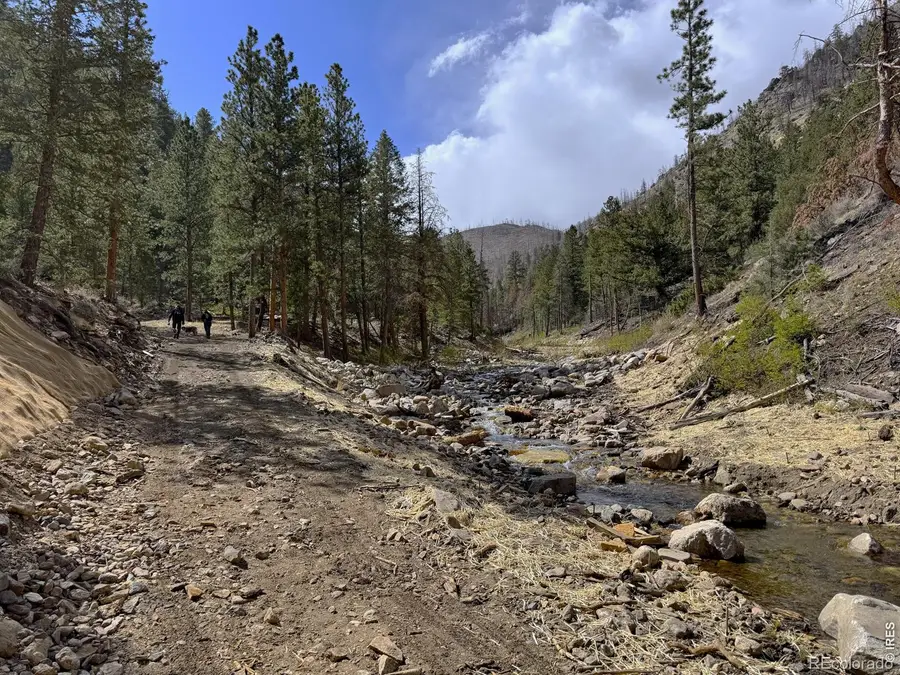 122 Black Hollow Road, Bellvue, CO 80512 - #3