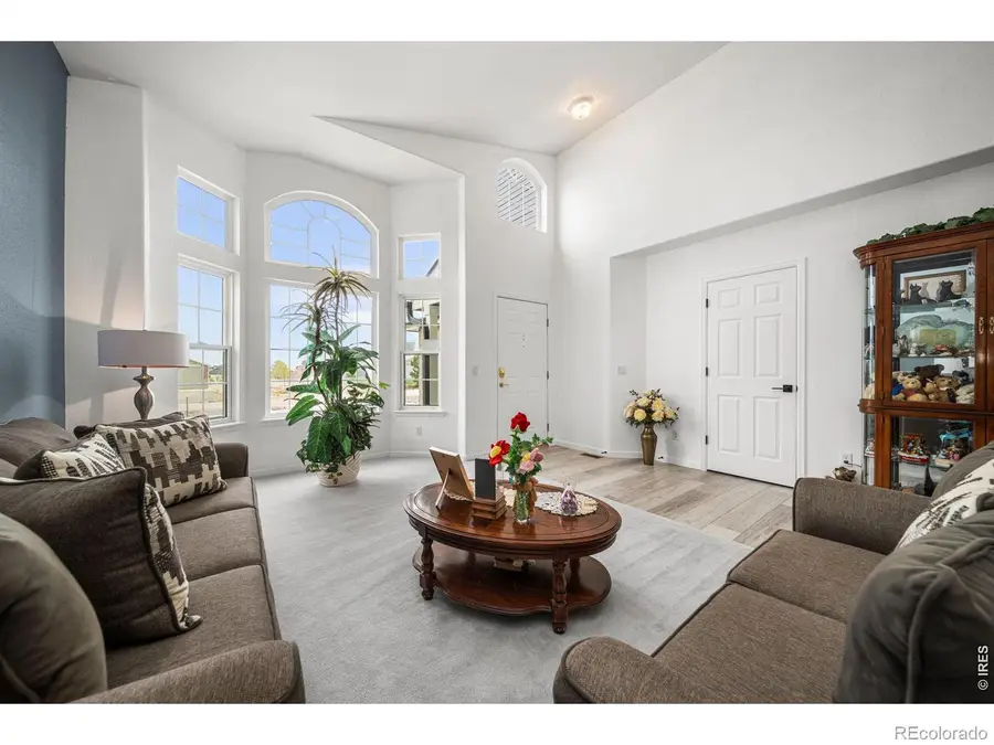 16645 Tree Haven Street, Hudson, CO 80642 - #2