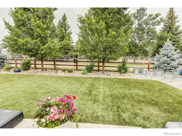 1032 Marfell Street, Erie, CO 80516
