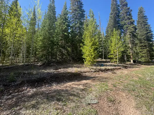 44 Wilderness Road, Walden, CO 80480