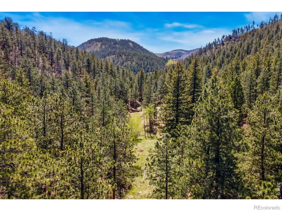 1899 Spring Valley Road, Bellvue, CO 80512 - #2