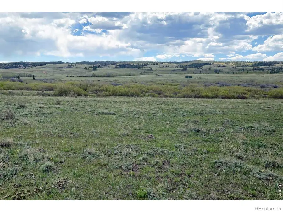 1730 N County Road 89, Laramie, CO 82070 - #3