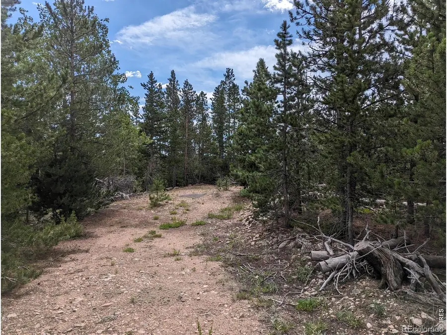 90 Quapaw Court, Red Feather Lakes, CO 80545 - #3