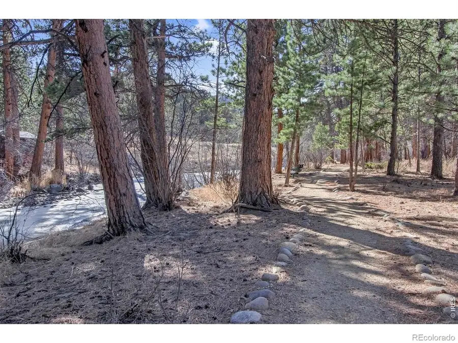 650 Park River Place, Estes Park, CO 80517 - #2