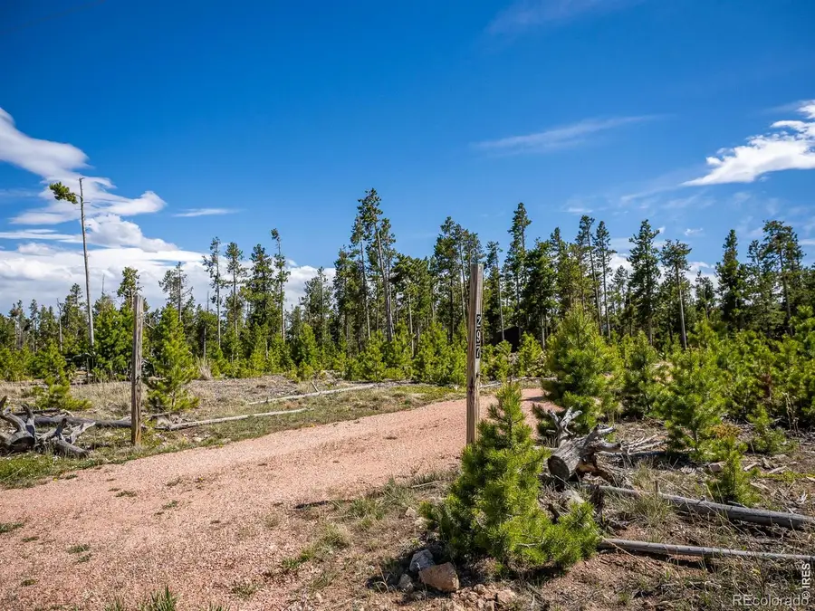 297 Manso Way, Red Feather Lakes, CO 80545 - #3